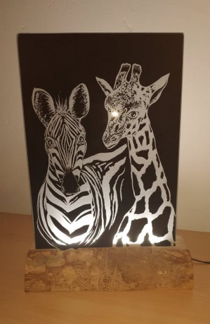 led světlo žirafa a zebra